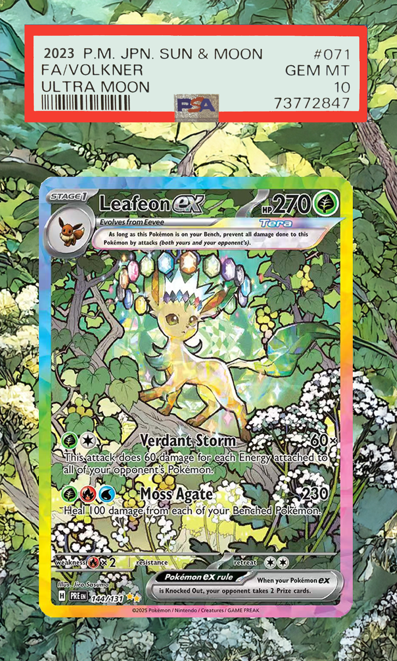 Pokemon Cards Display PTCG Lea - огляд і ціна Display Case Acrylic