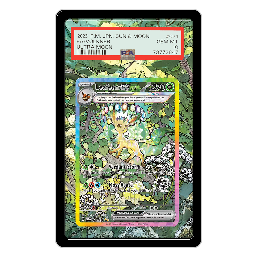 Pokemon Cards Display PTCG Lea - огляд і ціна Display Case Acrylic