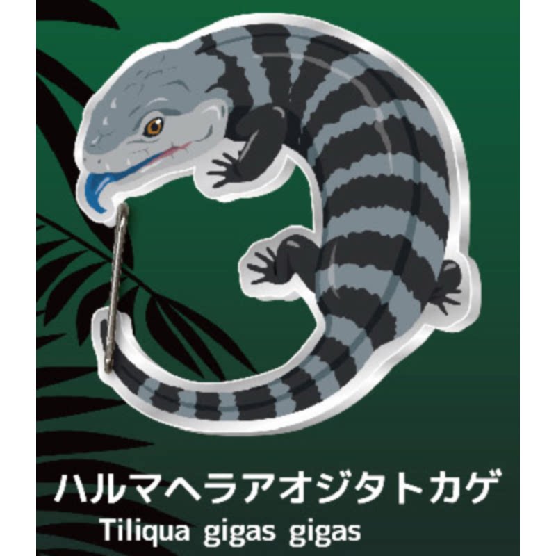 Lizard Gecko Carabiner Keychai - огляд і ціна Capsule Toy Gashapon