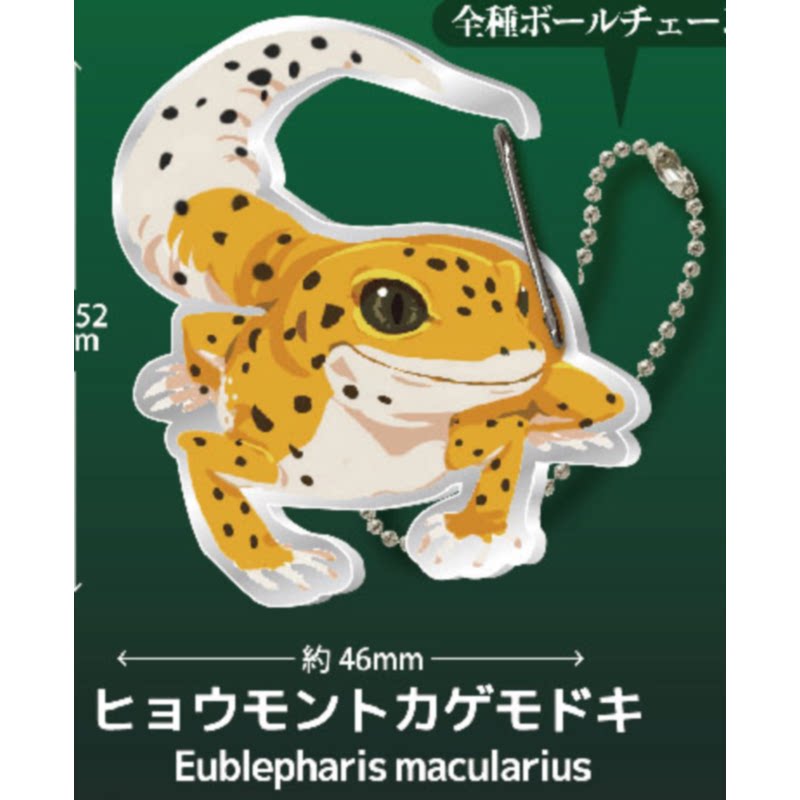 Lizard Gecko Carabiner Keychai - огляд і ціна Capsule Toy Gashapon