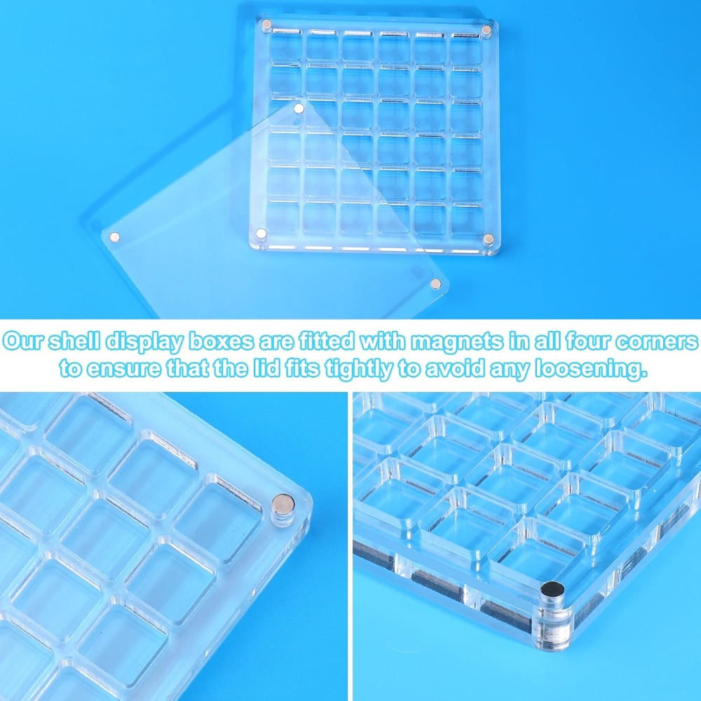 Clear Acrylic Magnetic Seashel - огляд і ціна Display Case Acrylic